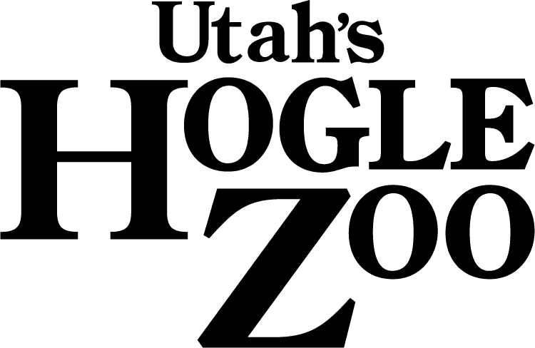 Saranoni